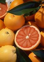 Obst Essen sauer geschnitten frisch reif Vitamin organisch Orange Diät Zitrusfrüchte Zutat saftig foto