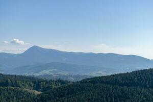 Berg Landschaft mit Wald im das Karpaten Berge von Ukraine. foto