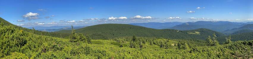 Berg Landschaft mit Wald im das Karpaten Berge von Ukraine. foto