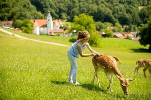 wenig Mädchen unter Rentier Herde auf das sonnig Tag foto