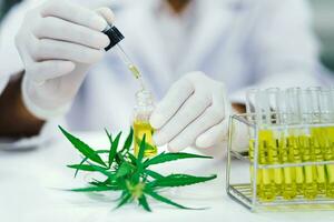 Wissenschaftler im Labor testen cbd Öl extrahiert von ein Marihuana Pflanze. Gesundheitswesen Apotheke von medizinisch Cannabis. foto
