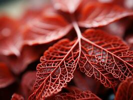 organisch Geometrie rot Venen und Blätter Fokus auf Gelenke ai generativ foto