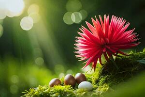 Foto Hintergrund das Blume, das Gras, das Sonne, das Eier, das Blumen, das Eier. KI-generiert