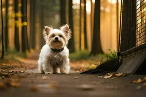 ein klein Weiß Hund Stehen im das Wald. KI-generiert foto