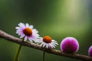 Foto Hintergrund das Blumen, Natur, das Grün, das Blumen, das Grün, das Blumen,. KI-generiert