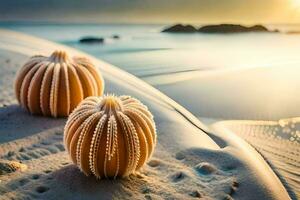 zwei Meer Seeigel Sitzung auf das Sand beim Sonnenuntergang. KI-generiert foto