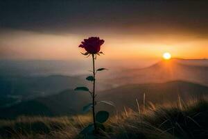ein Single Rose steht im das Mitte von ein Feld beim Sonnenuntergang. KI-generiert foto