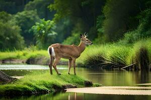 ein Hirsch steht auf das Bank von ein Fluss. KI-generiert foto