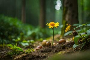 ein Single Gelb Blume im das Mitte von ein Wald. KI-generiert foto