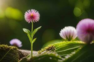 ein Rosa Blume ist wachsend aus von ein Blatt. KI-generiert foto