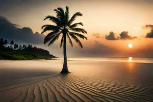 das Sonne setzt Über ein Palme Baum auf ein Strand. KI-generiert foto