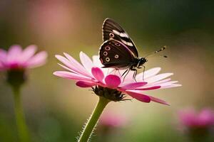 ein Schmetterling ist Sitzung auf ein Rosa Blume. KI-generiert foto