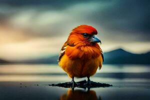 ein klein Orange Vogel ist Stehen auf das Wasser. KI-generiert foto