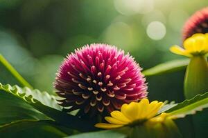 schließen oben von ein Blume mit ein hell Sonne. KI-generiert foto