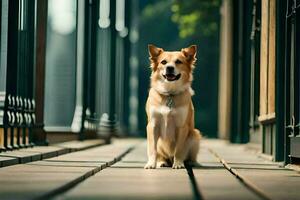 ein Hund Sitzung auf ein hölzern Gehweg. KI-generiert foto