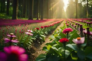 ein Feld von Rosa Blumen im das Sonne. KI-generiert foto