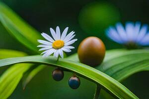 ein klein Weiß Blume und ein Ei auf ein Grün Blatt. KI-generiert foto