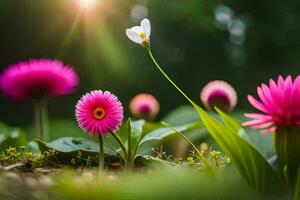 Foto Hintergrund das Sonne, Blumen, das Sonne, das Sonne, das Sonne, das Sonne,. KI-generiert