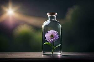 Foto Hintergrund Blume, Flasche, lila, Sonne, Blume, Sonne, Blume, Blume, Blume. KI-generiert