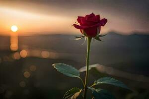 ein Single rot Rose ist gesehen im das Vordergrund beim Sonnenuntergang. KI-generiert foto