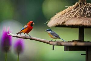 zwei bunt Vögel Sitzung auf ein Vogel Zubringer. KI-generiert foto