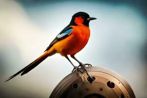 ein bunt Vogel sitzt auf oben von ein Metall Rad. KI-generiert foto