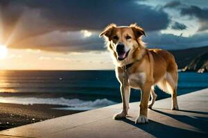 ein Hund Stehen auf ein Leiste mit Blick auf das Ozean beim Sonnenuntergang. KI-generiert foto