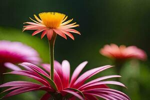 ein Rosa Blume mit Gelb Center im das Mitte. KI-generiert foto