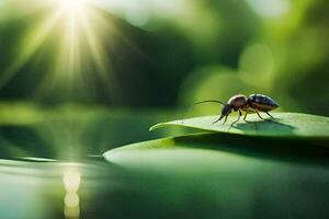 ein Käfer auf ein Blatt im das Sonnenlicht. KI-generiert foto