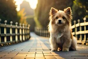 ein klein Hund Sitzung auf ein Brücke im das Sonne. KI-generiert foto