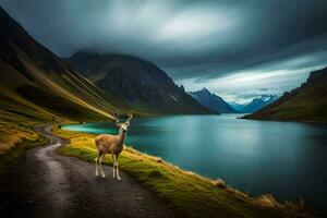 ein Hirsch steht auf das Straße in der Nähe von ein See. KI-generiert foto