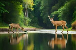 zwei Hirsch Trinken Wasser im ein Fluss. KI-generiert foto