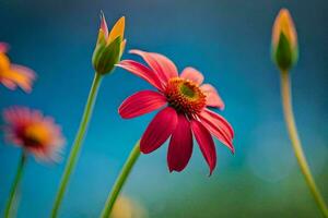 ein rot Blume ist im das Vordergrund mit ein Blau Hintergrund. KI-generiert foto