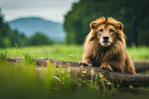 ein Löwe Sitzung auf ein Log im das Gras. KI-generiert foto