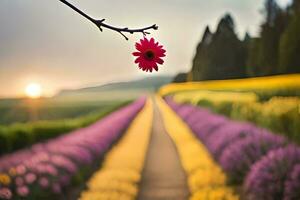 ein Blume ist im das Mitte von ein Feld. KI-generiert foto