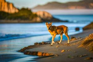 ein Dingo ist Stehen auf das Strand in der Nähe von das Wasser. KI-generiert foto