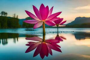 zwei Rosa Lotus Blumen sind reflektiert im das Wasser. KI-generiert foto