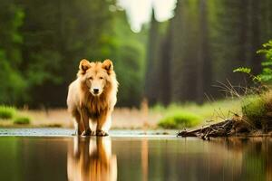 ein Hund Gehen über ein Fluss im das Wald. KI-generiert foto