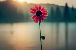 ein Single Blume steht im Vorderseite von ein See beim Sonnenuntergang. KI-generiert foto