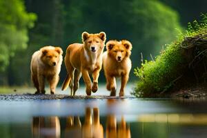 drei Hunde Gehen entlang ein Fluss im das Wald. KI-generiert foto