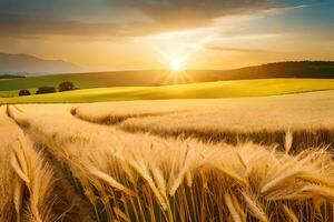 golden Weizen Feld beim Sonnenuntergang. KI-generiert foto