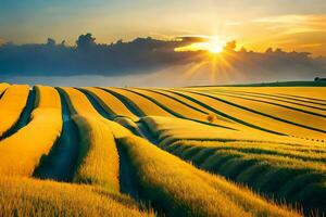 ein Feld von Weizen ist gezeigt beim Sonnenuntergang. KI-generiert foto