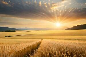 ein Feld von Weizen ist gezeigt beim Sonnenuntergang. KI-generiert foto