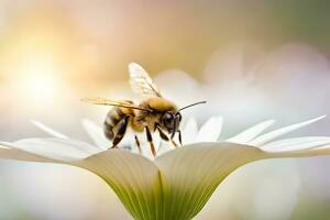 Biene auf Weiß Blume mit verschwommen Hintergrund. KI-generiert foto