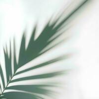 ai generiert Palme Blatt Schatten Overlay Hintergrund foto