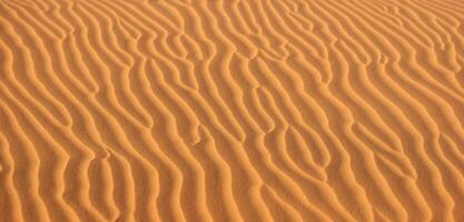 Sand Hintergrund Panorama von das Wüste Falten von Sand geblasen durch das Wind foto