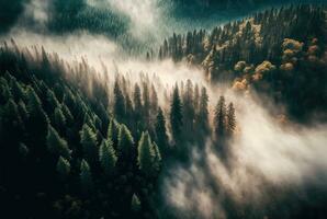 Nebel im Wald Antenne Sicht. generativ ai foto