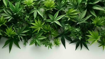 KI-generiert Grün Blätter von natürlich Hanf Marihuana zum medizinisch verwenden foto