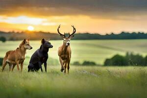 drei Hirsch und ein Hund im ein Feld beim Sonnenuntergang. KI-generiert foto