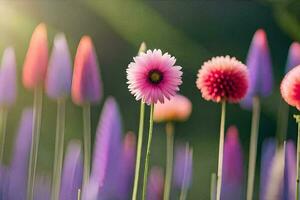 ein Gruppe von lila und Rosa Blumen im das Sonne. KI-generiert foto